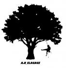 a.n_elagage