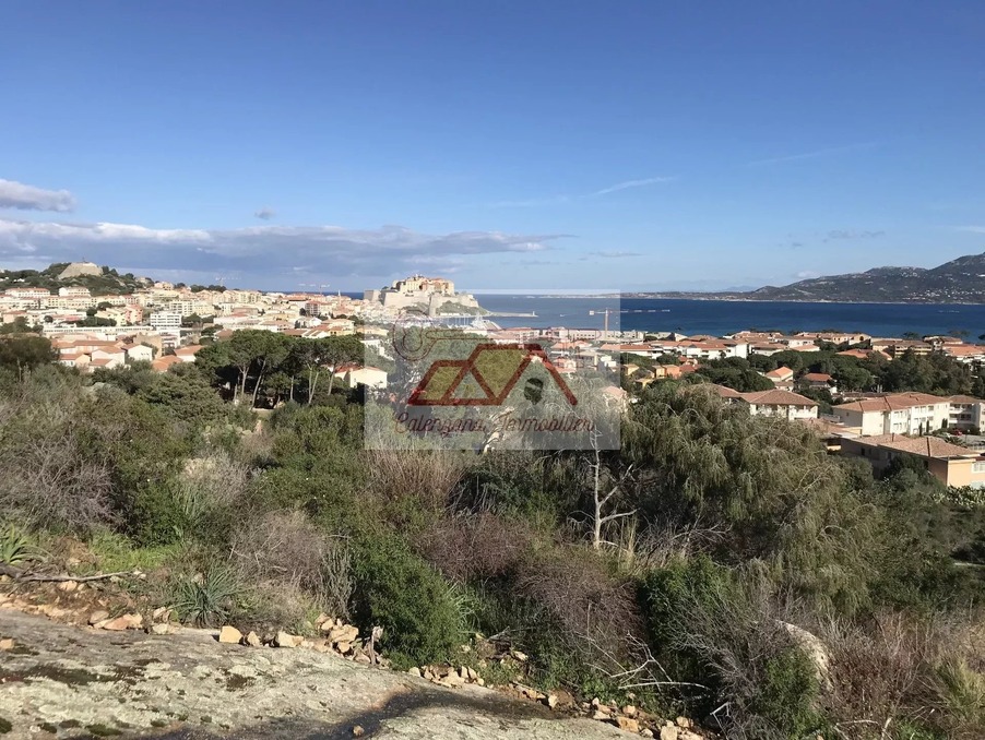 vente terrain corse calvi