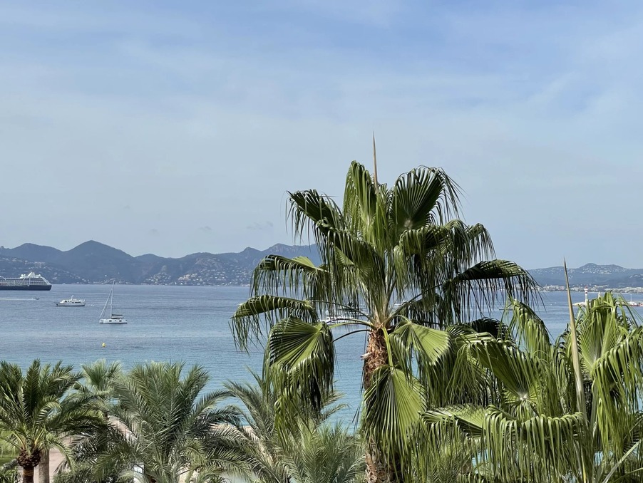 Photo vente appartement alpes maritimes cannes image 1/4