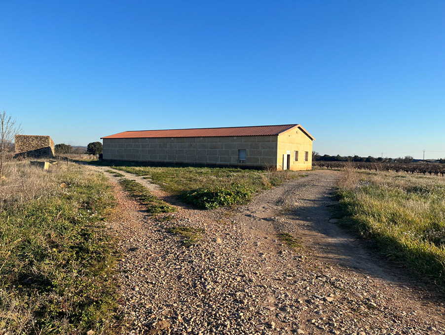 vente terrain herault saint andre de sangonis