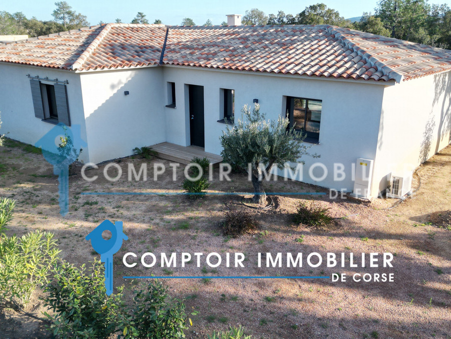 vente maison corse san-gavino-di-carbini