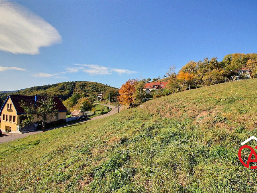 vente terrain bas rhin breitenbach