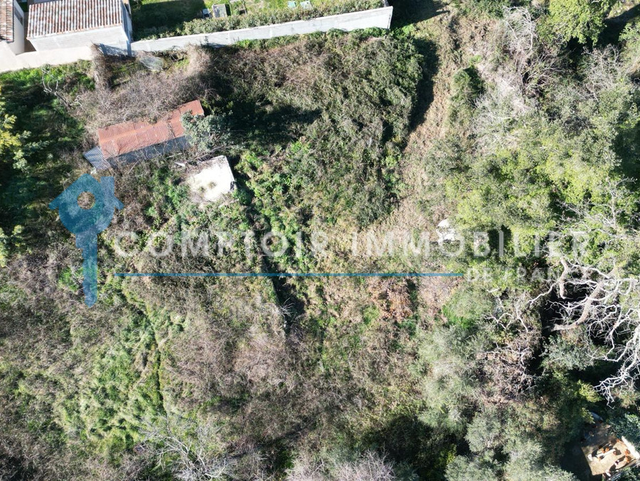 Photo vente terrain corse prunelli-di-fiumorbo image 2/4