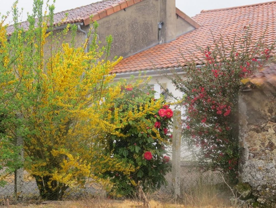 vente maison deux sevres l'absie