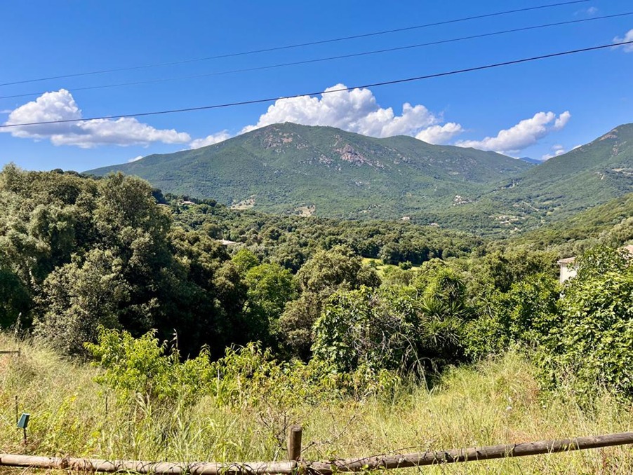 vente terrain corse eccica-suarella