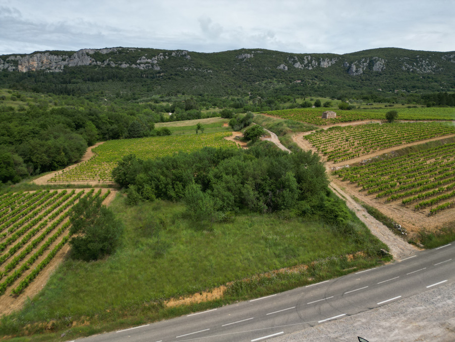 vente terrain herault saint-bauzille-de-putois