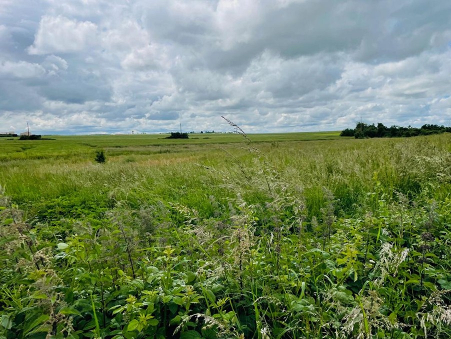 vente terrain eure et loir saulnières