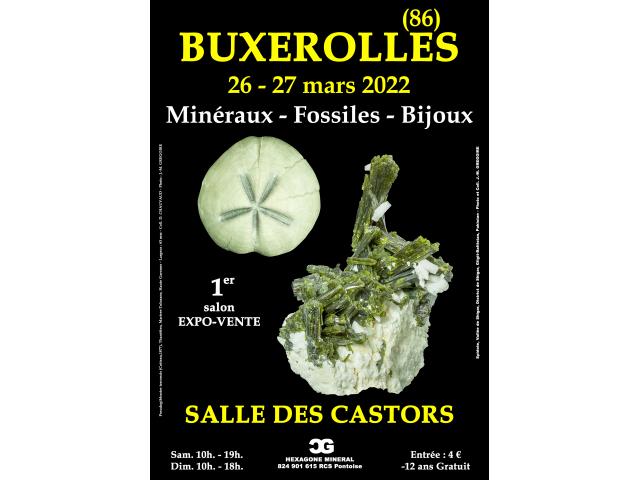 Photo 1er SALON MINERAUX FOSSILES BIJOUX de BUXEROLLES (Vienne) image 1/1