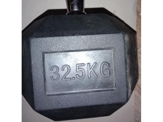 2 haltères de 32,5kg (prix négociable)
