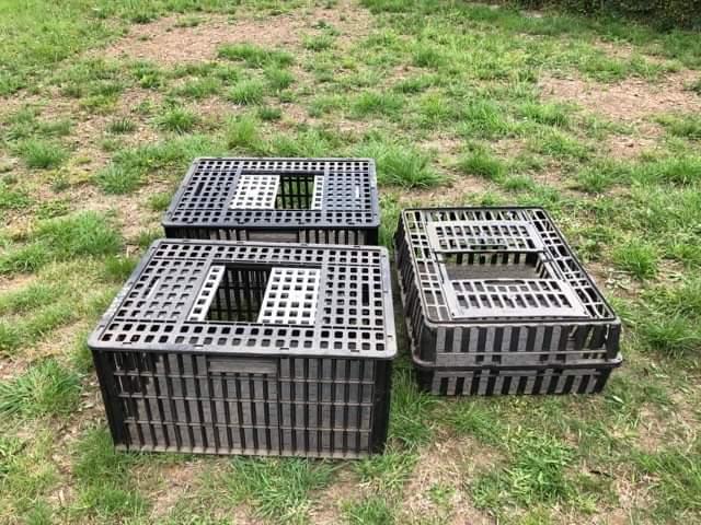 3 cages de transport de volaille ou lapins