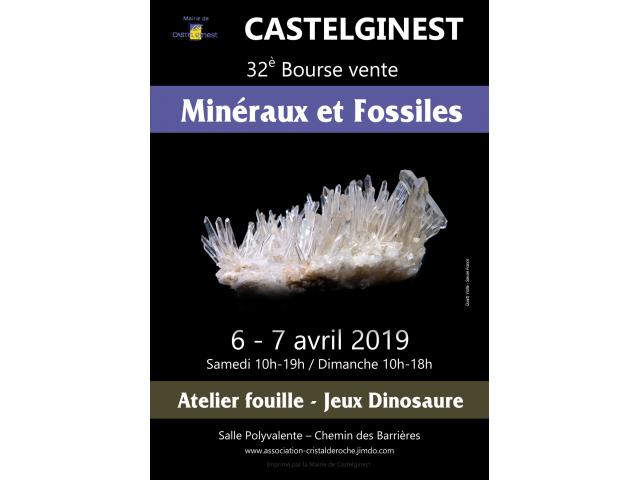 Photo 32è bourse vente de minéraux et fossiles à Castelginest (31780) image 1/1