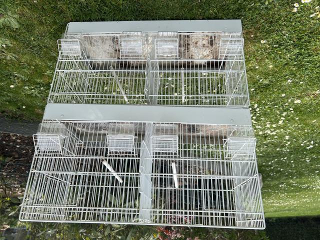 4 cages élevages canaris