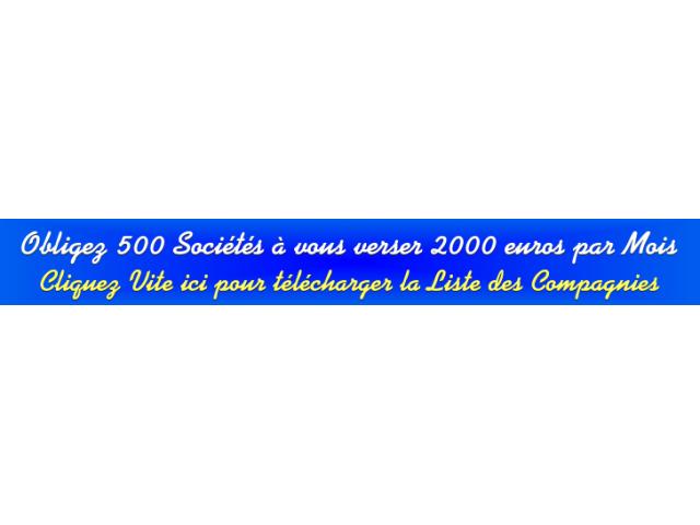 500 SOCIETES VOUS VERSE 2000€ PAR MOIS