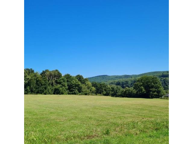5544 Agimont - Hastière : grandes parcelles de +/- 55 ares, belle situation au calme.
