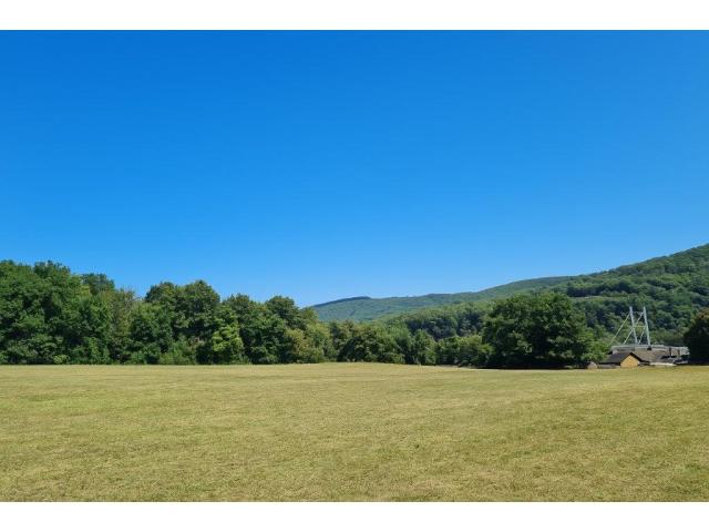 5544 Hastière : splendide parcelle, 51 ares.