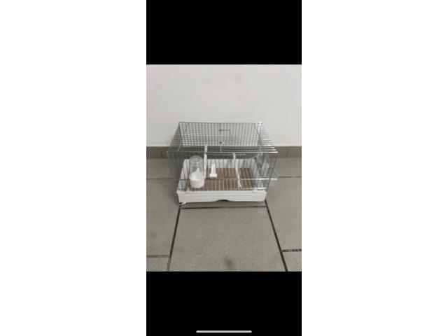 6 cages de chant Donus comme neuf