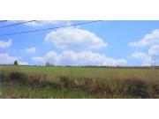 Annonce 6594 Beauwelz région Chimay : beau terrain, 10a75ca, pour maison 4 façades.