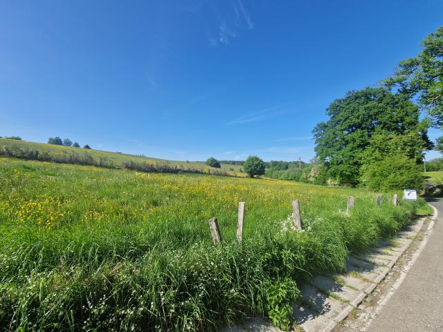 6830 LES HAYONS - Bouillon : superbe terrain, 1ha 44a 66ca, Vallée de la Semois.