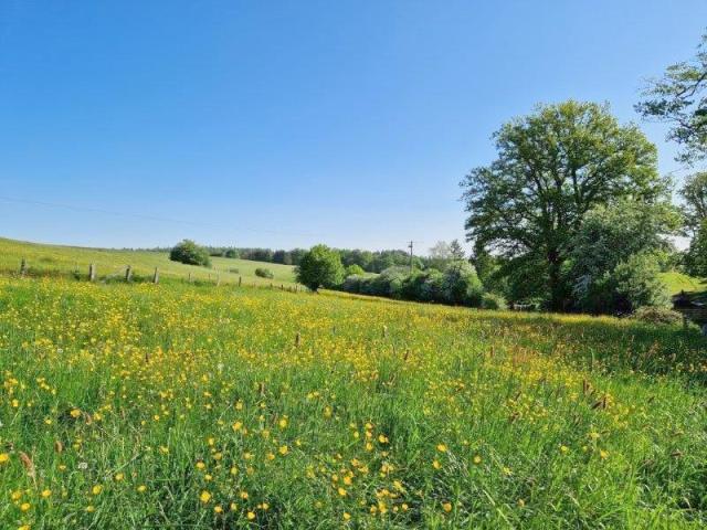 6830 LES HAYONS - Bouillon: terrain à bâtir, +- 40 ares.