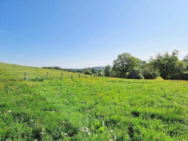 6830 Les Hayons : très beau terrain, 1Ha 44a 66ca.