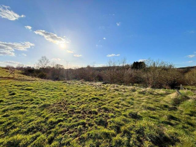 6890 Anloy - Libin : terrains à batir pour maisons 4 faç, belle situation.