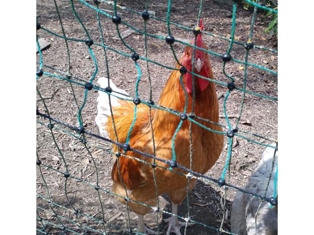 A donner !