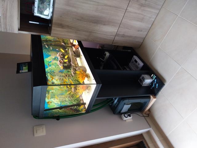 a vendre aquarium juwel 110 litres avec meuble