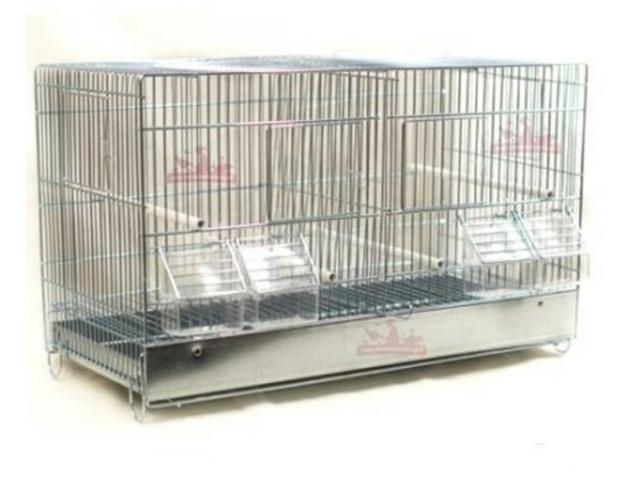 A vendre cage oiseaux