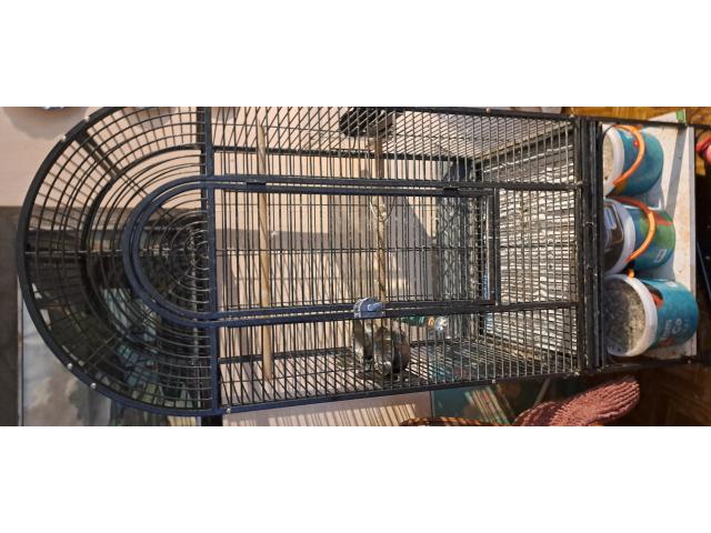 à vendre grande cage pour perroquet