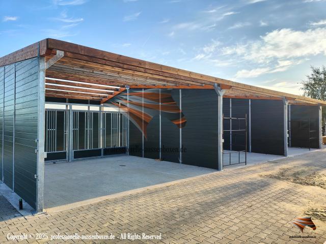 Abri pour Chevaux & Paddock et Boxes Extérieurs et Râtelier