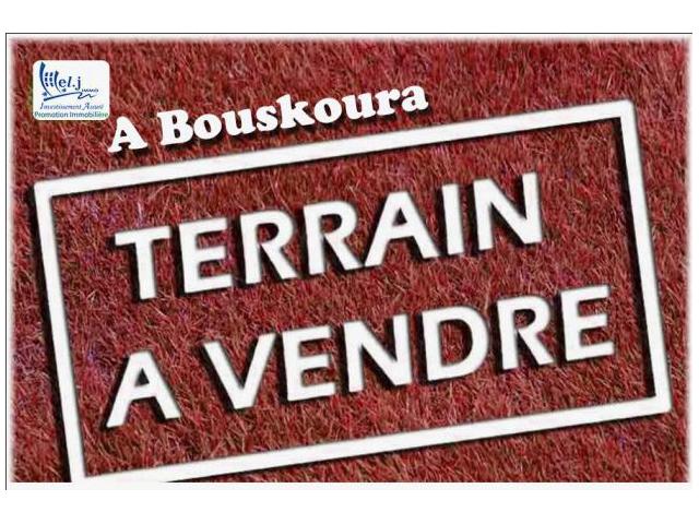 AL MANZAH DE BOUSKOURA