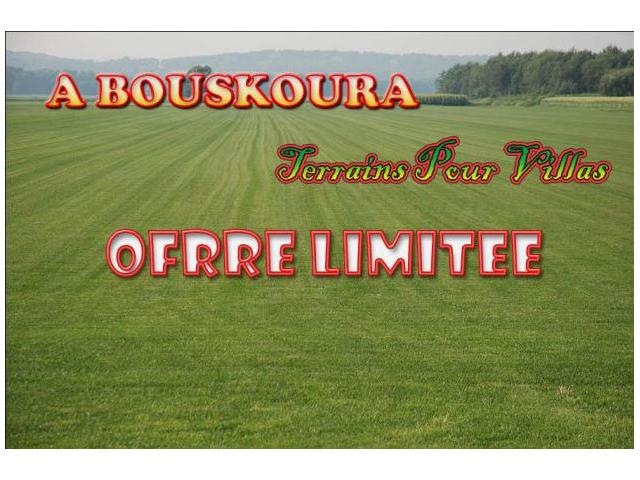 AL MANZAH DE BOUSKOURA