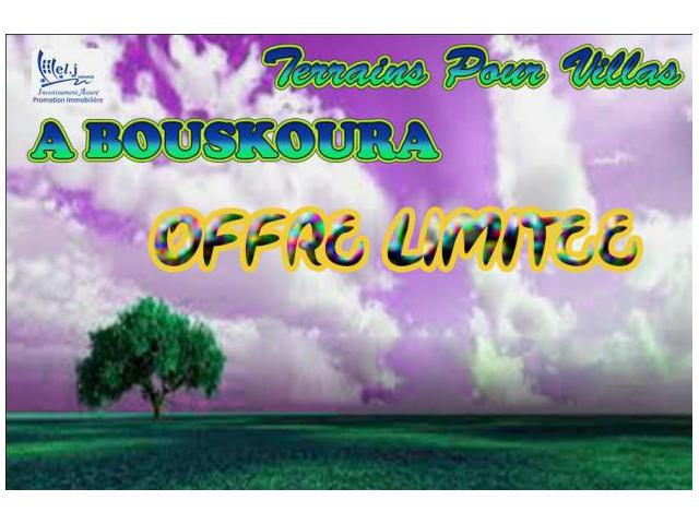 AL MANZAH DE BOUSKOURA