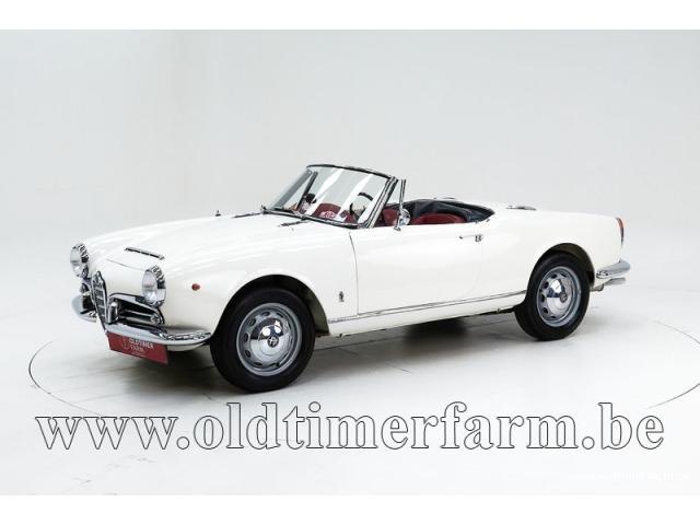 Alfa Romeo 1600 Giulia Spider '65 CH6255