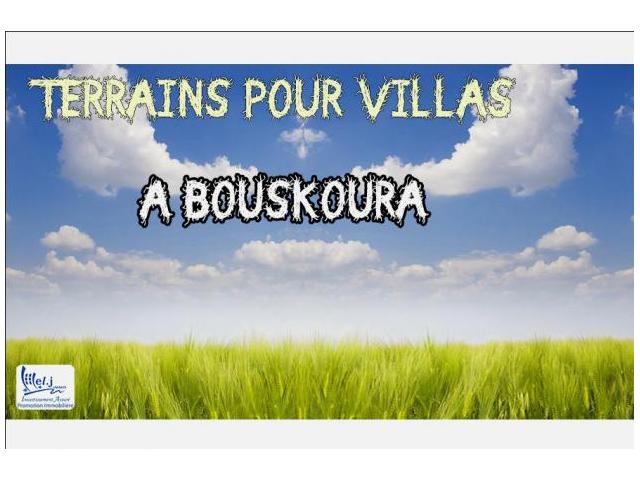 ALHAJOUI terrain à BOUSKOURA