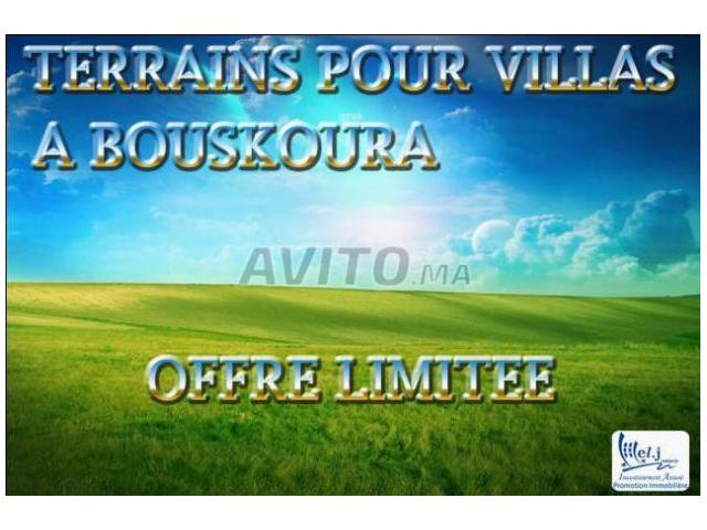 ALMANZAH DE BOUSKOURA