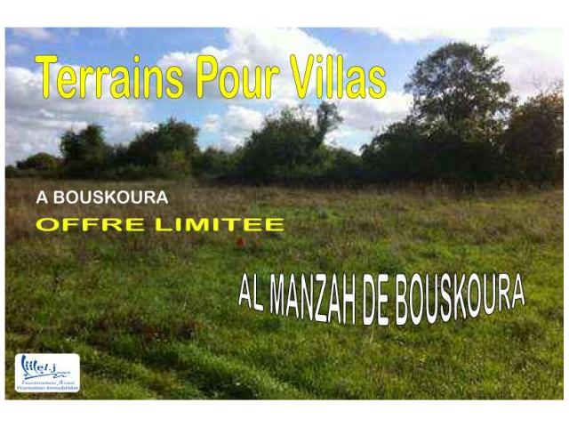 ALMANZAH DE BOUSKOURA