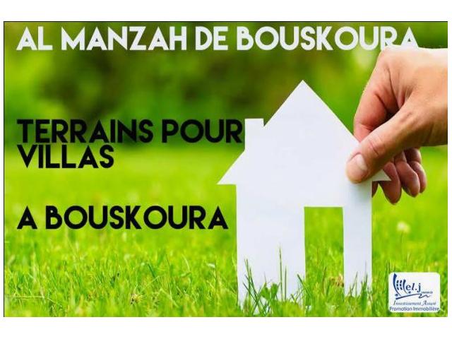 Photo ALMANZAH DE BOUSKOURA image 1/1