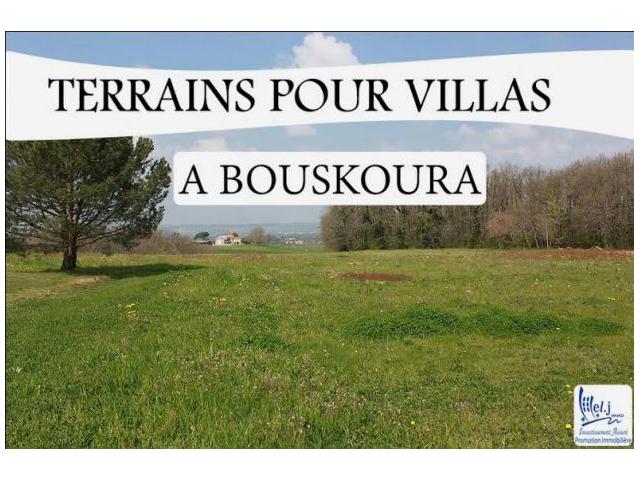ALMANZAH DE BOUSKOURA