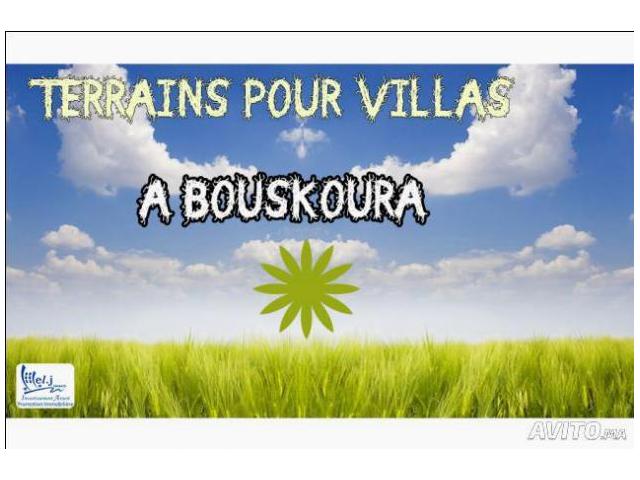 ALMANZAH DE BOUSKOURA