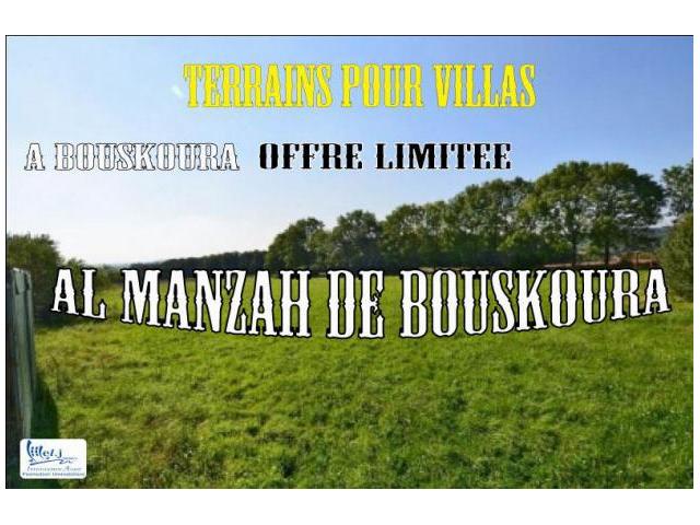 ALMANZAH DE BOUSKOURA