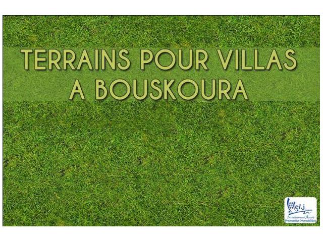 ALMANZAH DE BOUSKOURA