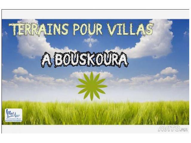 ALMANZAH DE BOUSKOURA