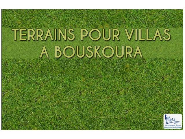 ALMANZAH DE BOUSKOURA