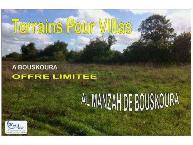 ALMANZAH DE BOUSKOURA