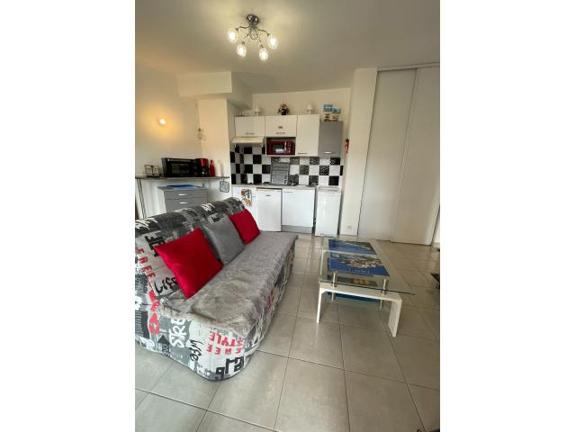 Appartement de Type T2 à 100 m des Plages pour 4 personnes L47