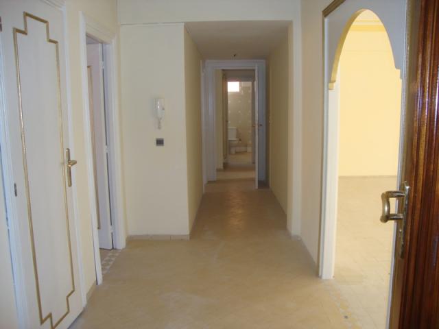 appartement en location