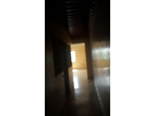 appartement en location