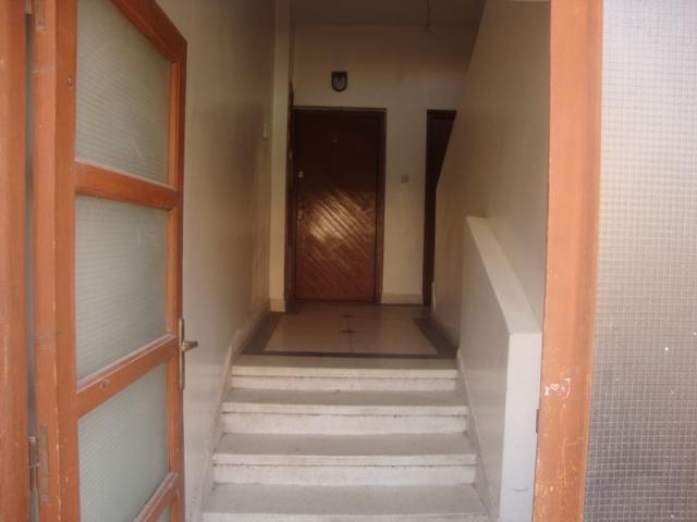 appartement en location