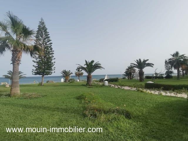 APPARTEMENT OEDIPE I Hammamet Centre AL3373